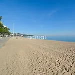 Elypalace 18-5